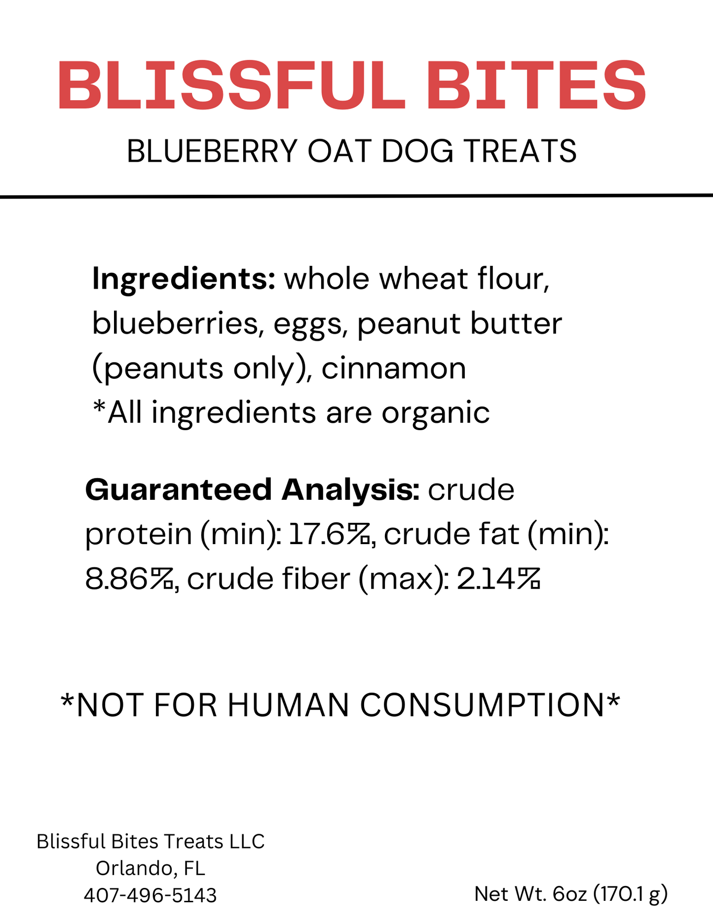 Blueberry Oat Treats - Simple, Sweet, and Satisfying