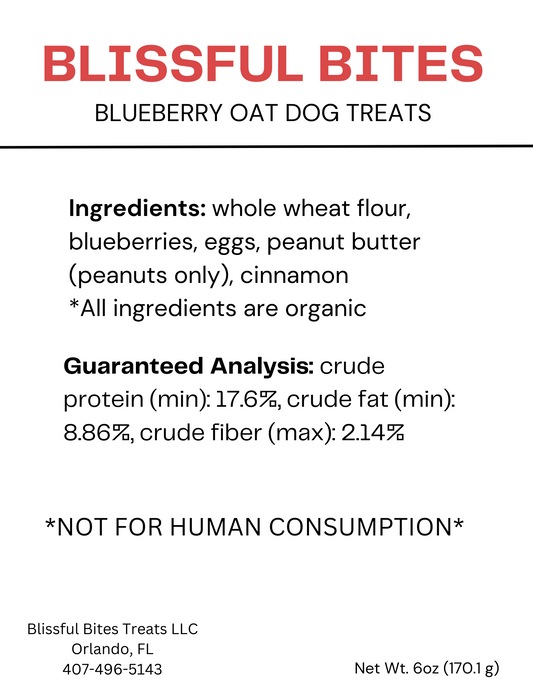 Blueberry Oat Treats - Simple, Sweet, and Satisfying