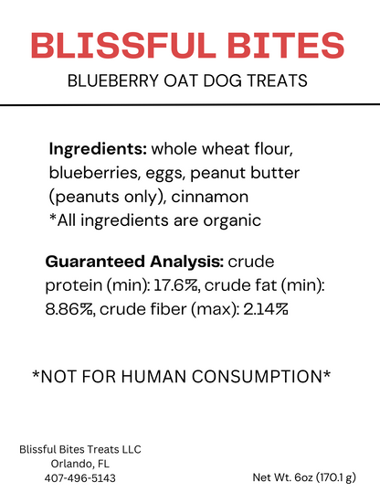 Blueberry Oat Treats - Simple, Sweet, and Satisfying